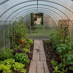 Modular Steel Tunnel Greenhouse | Width 3.14m